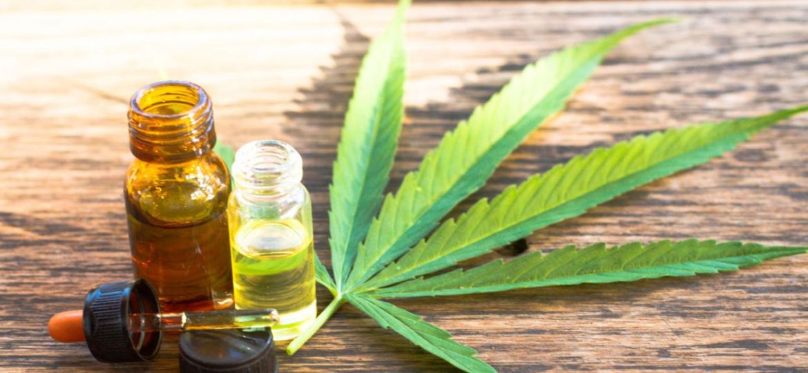 jujuy-producira-cannabis-medicinal