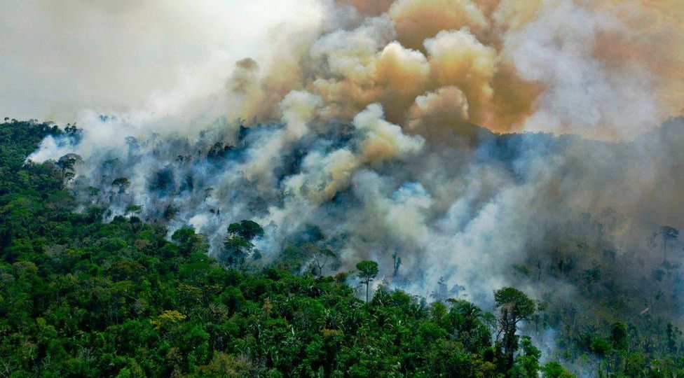 selva-amazonas-incendios-deforestacion