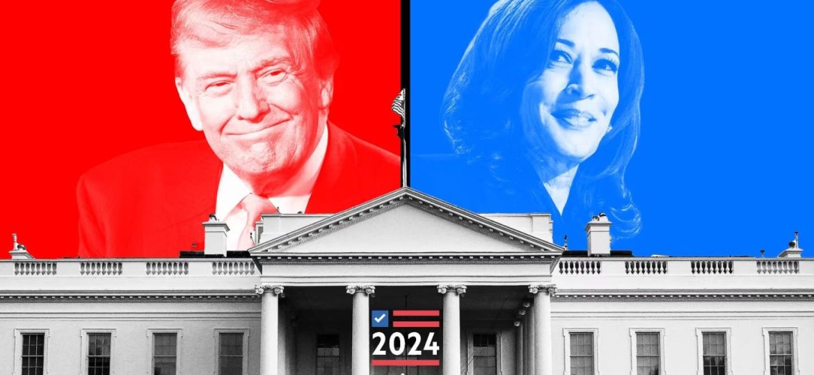 WhatsApp Image 2024-09-10 at 10.43.22 AM