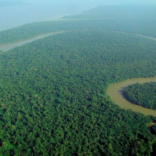 selva_amazonia