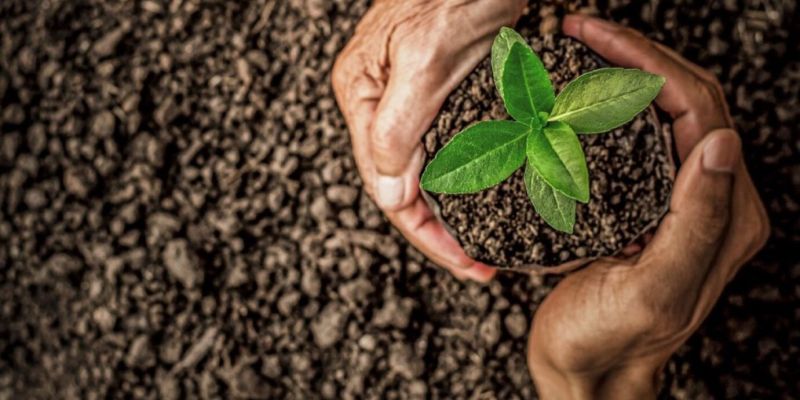 Empleo Verde y Desarrollo Sostenible