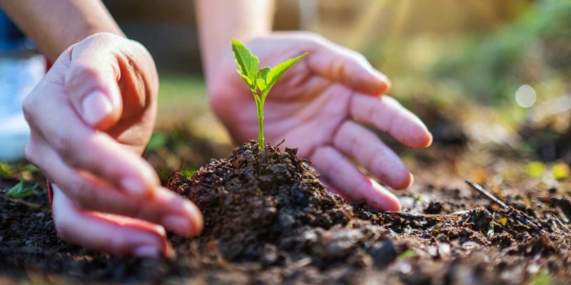 Ley de educación ambiental