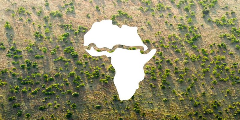 La Gran Muralla Verde